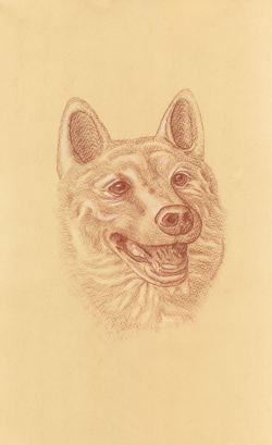 Portrait of Hana